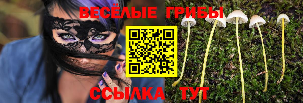 Псилоцибиновые грибы Cubensis Ногинск